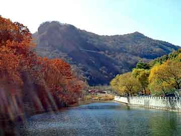 新澳天天开奖资料大全旅游团，太平间美丽女尸